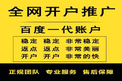 成功运用SEM技术提升网站流量的案例研究