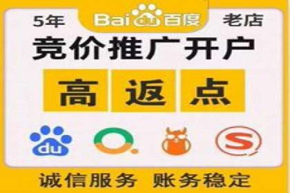 SEM推广实战：案例分析与优化